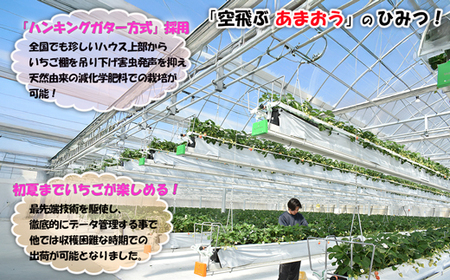 【3回届く！（4月～6月）】福津産『空飛ぶあまおう』約1,080g×3回定期便【スカイフローラファーム】[G7056]