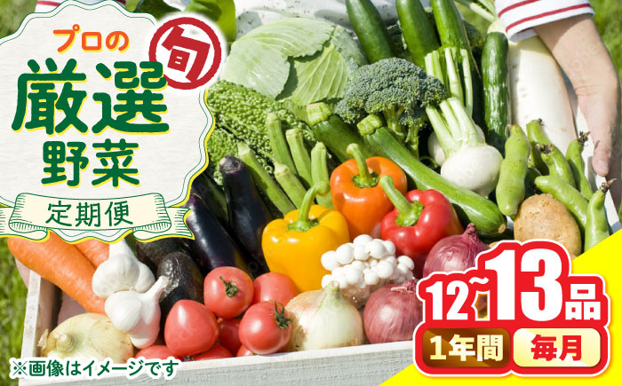 【12回定期便】野菜のプロが選ぶ 旬の野菜セット 12～13品目 野菜定期便 / 南島原市 / 愛2農園 [SGG001]