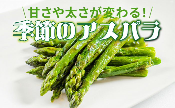 【6回定期便】春＆夏 の グリーン アスパラガス 約1kg / 南島原市 / ほしのYA [SEY011]