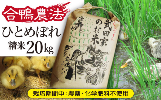 合鴨農法で生産された美味しいお米です！！