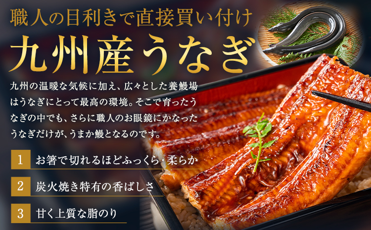 うなぎ 特上サイズ 2尾 贈答箱入り 国産 鰻 真空パック おすすめ うなぎの蒲焼 《30日以内に出荷予定(土日祝除く)》特上 簡易包装 ウナギ 蒲焼 冷凍_イメージ2