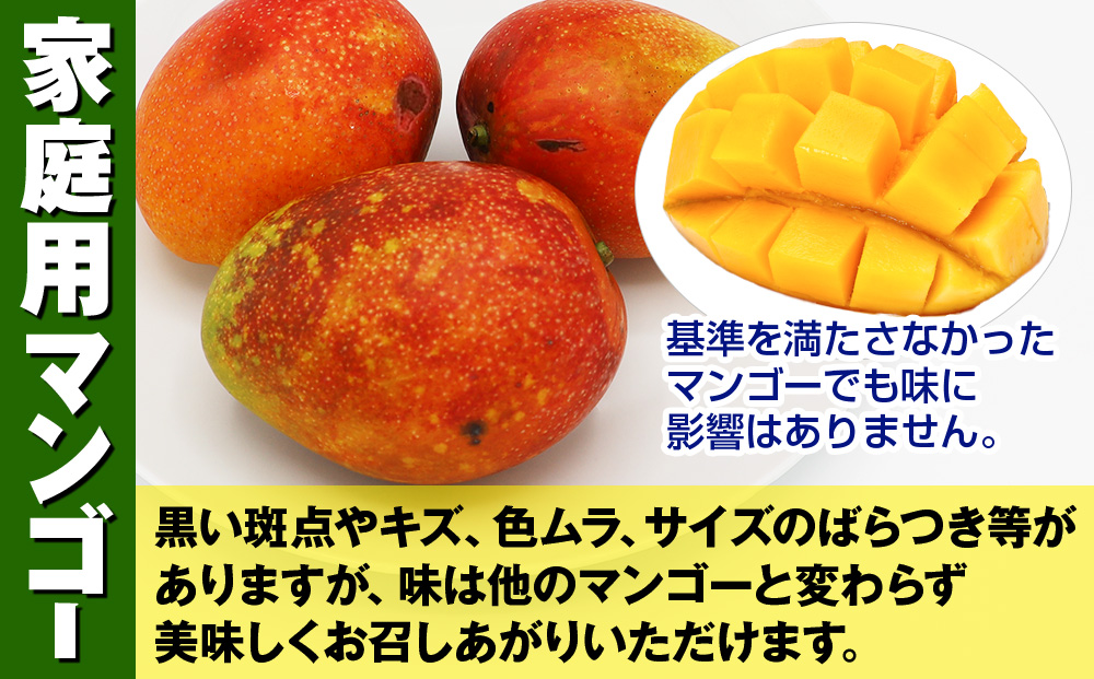 【2026年発送】生産組合が育てる神里のマンゴー2kg　家庭用