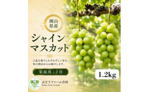 【2027年発送】岡山県産シャインマスカット家庭用　計1.2kg(2房)【1780423】