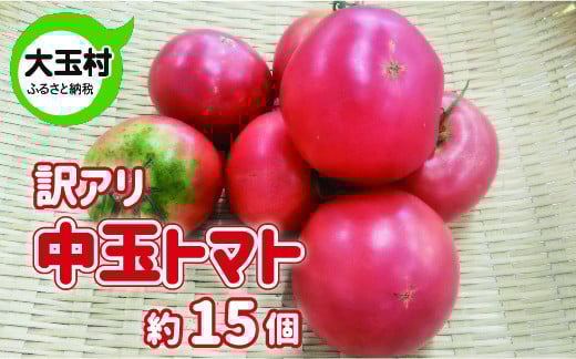 
            訳あり 野菜 不揃い トマト 中玉(5cm～8cm) 約15個 《数量限定》 新鮮 夏野菜 大玉村 もったいない野菜 【01091】 とまと SDGs 余剰野菜 フードロス 食品ロス
          