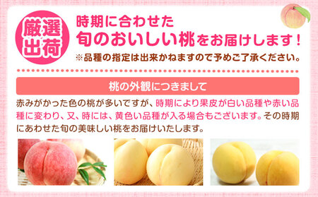 【先行予約】秀品和歌山の桃約4kg 紀の川市厳選館 《2024年6月下旬-8月上旬頃より順次出荷》 和歌山県 紀の川市