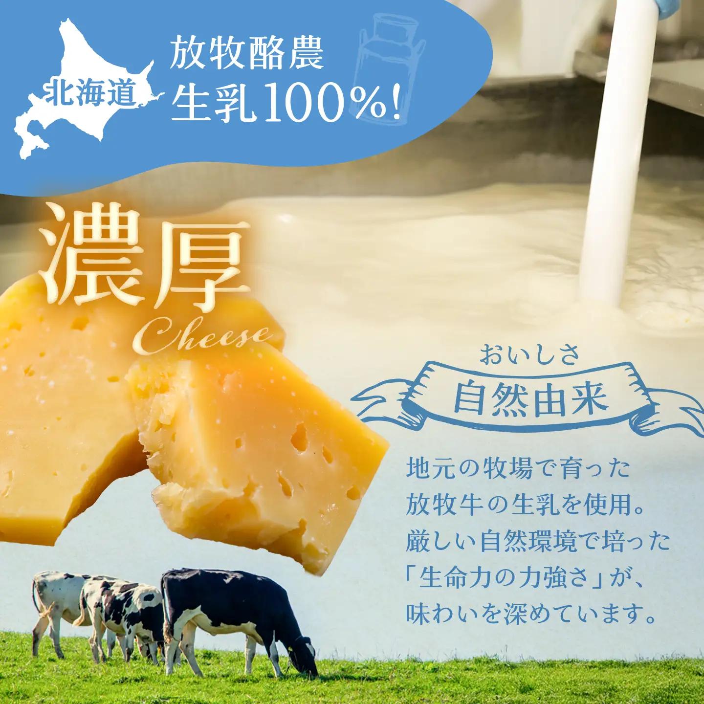 北海道 チーズ セットS【足寄町/合同会社あしょろチーズ工房】 [BEAU009]