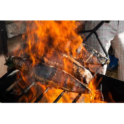 ふるさと納税 南国市 モチモチ食感!釣れたて発送!ビリかつおわら焼きタタキ300g×4節(タレ・ニンニク付)
