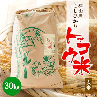 ふるさと納税 津山市 【突鉱土育ち】津山産トッコウ米(こしひかり)玄米30kg