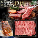 【ふるさと納税】宮崎牛ミックスカルビ焼肉500g≪みやこんじょ快速便≫ - 宮崎県産宮崎牛 ブランド牛 国産黒毛和牛 ミックス カルビ 焼肉 ウデ/バラ/肩ロース/モモ いずれか2部位 冷凍配送 焼き肉 A4 A5 送料無料 14-8902-R 【宮崎県都城市は2年連続ふるさと納税日本一！】