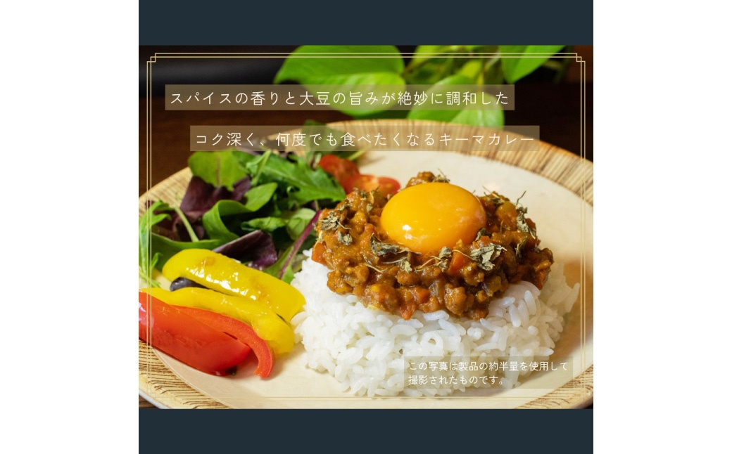 豆蔵キーマカレーと豆蔵ハンバーグセット各10個入り
