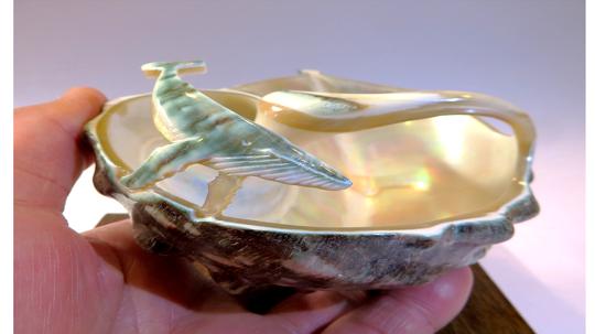 内側の真珠層の輝き、クジラに出たグリーン層をご覧ください