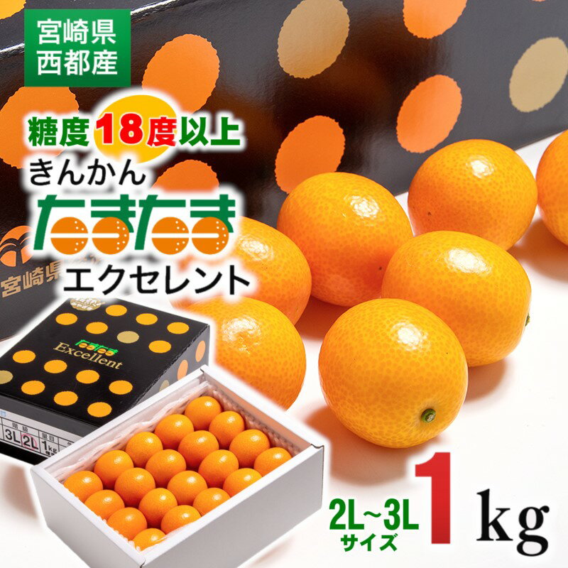 【ふるさと納税】完熟きんかん「たまたま」エクセレント1kg 宮崎県 西都市 数量限定 化粧箱 宮崎ブランド完熟きんかん 丸かじり 果物 フルーツ＜1.7-27＞先行予約