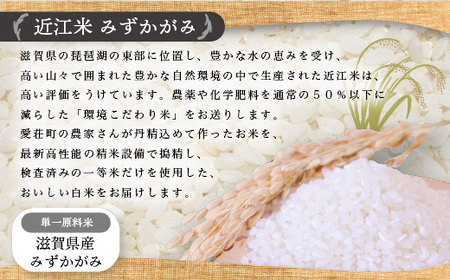 近江米　みずかがみ　白米１０㎏ 令和5年産 BD08