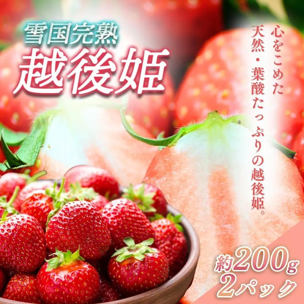 【先行予約】越後姫 いちご 越後姫 約200g×2P 苺の花ことば