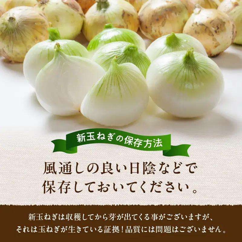 【玉ねぎ】訳あり 新たまねぎ 7kg | 玉ねぎ