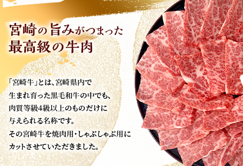 宮崎牛 カルビ焼肉・モモスライス セット 計800g |牛肉 牛 肉 カルビ 焼肉 モモ スライス 焼き肉 ヤキ肉 やき肉