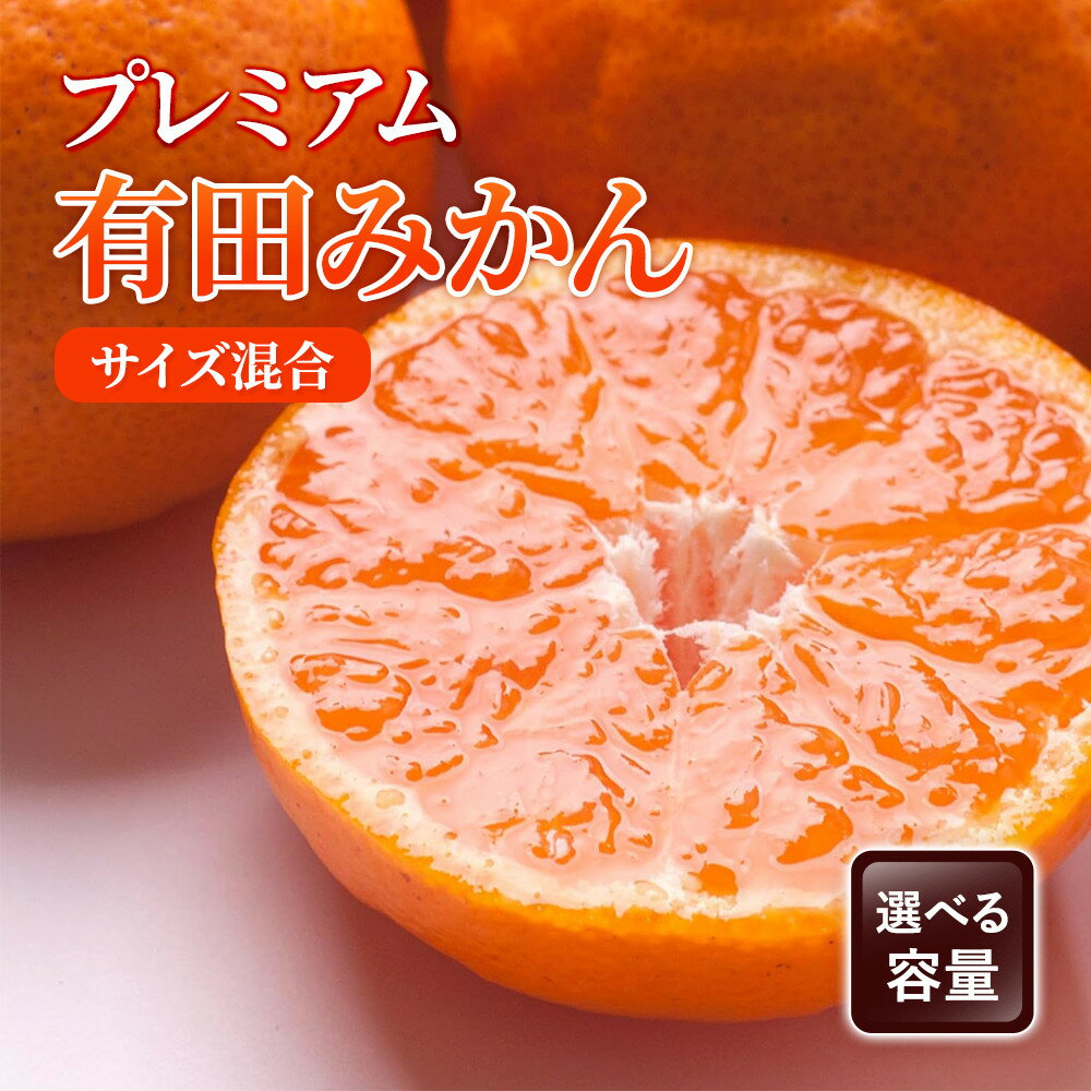 【ふるさと納税】【選べる種別／容量】プレミアム 有田みかん2.5～10kg+250g（傷み補償分）［IKE249］ | フルーツ 果物 くだもの 食品 人気 おすすめ 送料無料 自分史上一番みかん 光センサー選果