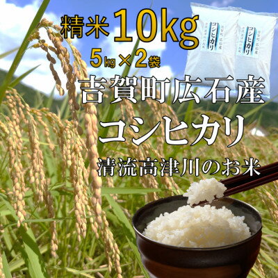 【ふるさと納税】令和6年産　吉賀町広石産コシヒカリ　清流高津川のお米　精米10kg【1596764】