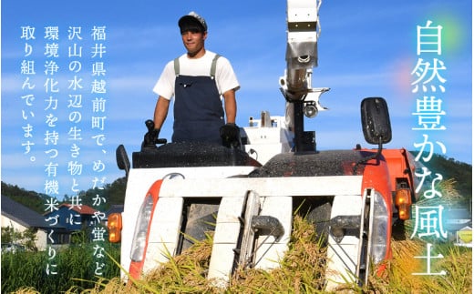 有機JAS 米 越前コシヒカリ 5kg 令和6年産 新米 福井県産【玄米】【有機栽培 JAS認証 人気品種 こしひかり 5キロ】 [e10-b003]