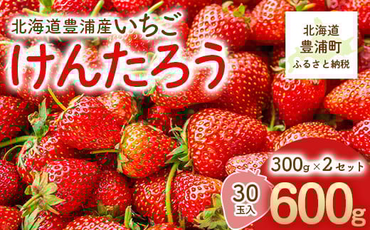 
            【2025年5月順次発送】北海道産 豊浦いちご けんたろう 30玉入り 300ｇ×2セット 【 ふるさと納税 人気 おすすめ ランキング 果物 いちご苺 イチゴ 国産いちご 国産苺 けんたろう セット おいしい 美味しい 北海道 豊浦町 送料無料 】 TYUAG001
          