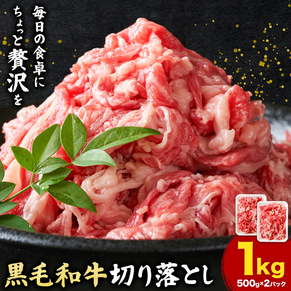 【ふるさと納税】黒毛和牛切り落とし 1kg (500g×2パック) 高椋畜産《30日以内に出荷予定(土日祝除く)》熊本県 南関町 牛肉 和牛 黒毛和牛 国産牛 お肉 切り落とし 小分け 個包装 冷凍 送料無料