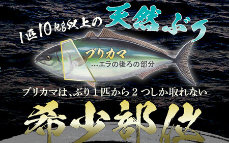 天然 ぶり 特大 ブリカマ (塩焼き用) 約1kg (約500g × 2パック) 美浜町日向産【希少 切身 かま 肉厚 コラーゲン 塩焼き 魚介類 魚貝類 新鮮 冷凍 凍眠】 [m36-a016]