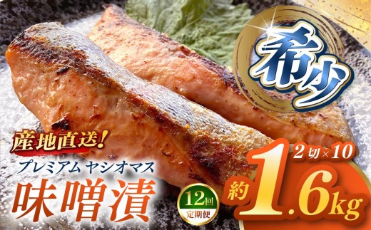 【定期便12回】「プレミアムヤシオマス」の味噌漬 2切入×10パック  [ 冷凍便 ] | 魚 ます 養殖 産地直送 栃木県 (毎月お届け）