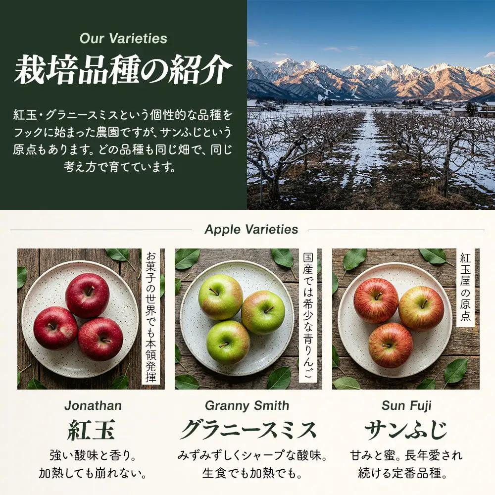 紅玉屋 長野市産 紅玉 4kg【2026年9月下旬以降の出荷分】（紅玉屋） | りんご 林檎  フルーツ りんご