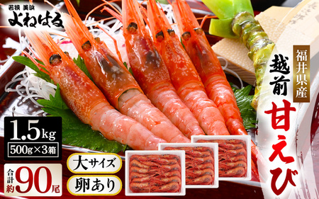 【年内配送】大好評！天然 越前甘エビ（卵あり）大サイズ計1.5kg（500g × 3箱）（合計約90尾入り）解凍方法説明書付き 船内凍結 酸化防止剤不使用！ 甘エビ本来の味をお楽しみください【えび エビ 海老 甘エビ 甘えび 海鮮 お刺身 おせち 無添加 冷凍 】 [m17-d008]