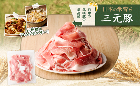 日本の米育ち平田牧場 三元豚切り落とし 500g×2パック（計1kg）　T036-004 肉 豚肉