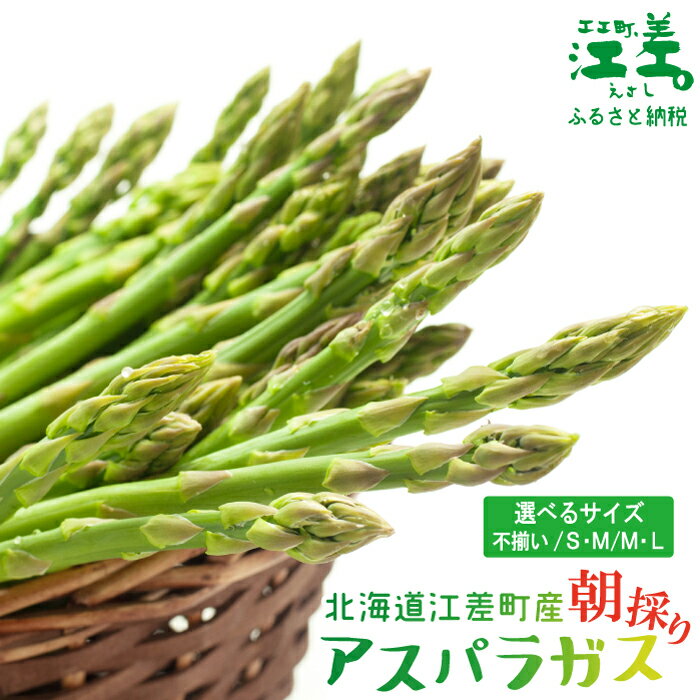 【ふるさと納税】《夏芽 予約受付 6月中旬～順次出荷》2025年 北海道江差町産 アスパラガス〈選べる容量 M・L／S・M／訳あり不揃い〉1kg　朝採り　農家直送　新鮮　鮮度保持　北海道　旬野菜　グリーンアスパラ　アスパラガス　贈答　ギフト