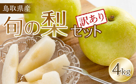 【訳あり】鳥取県産旬の梨セット4kg ※2025年8月下旬頃～12月下旬頃に順次発送予定【梨 なし 果物 フルーツ くだもの 鳥取県産 北栄町 おすすめ 人気】