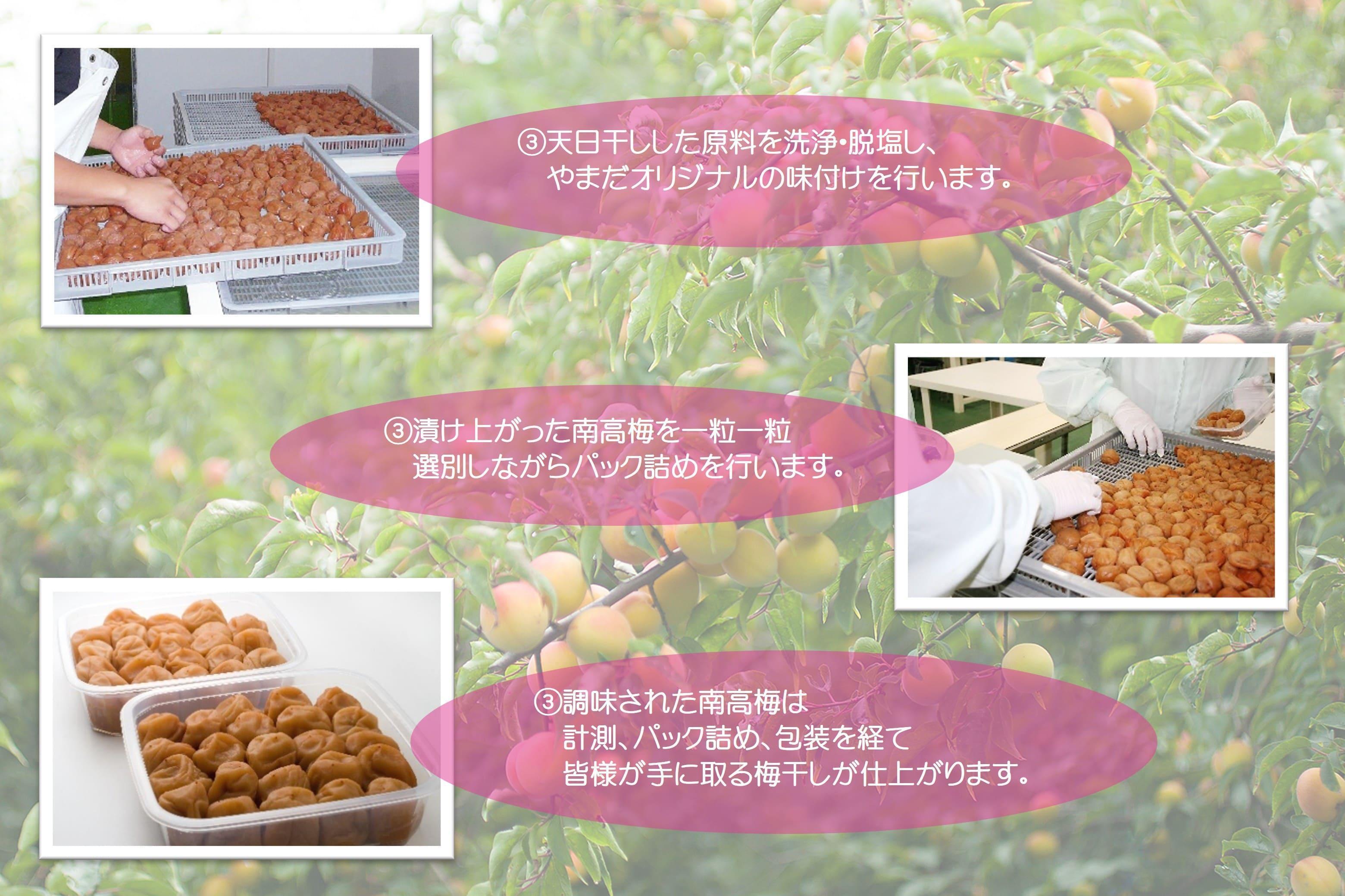 紀州南高梅 しそ 塩分約15％ 500g ［YM5］