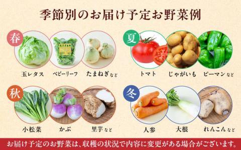 【全3回隔週定期便】 有機野菜 12種セット 詰め合わせ 熊本県産 山都町産 産地直送 オーガニック【株式会社 肥後やまと】[YAF004]