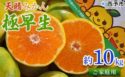 ＜天晴みかん 極早生 家庭用 約10kg＞ 温州 柑橘 果物 くだもの フルーツ ミカン 蜜柑 訳あり ワケアリ 自宅用 期間限定 季節限定 食べて応援 特産品 産地直送 愛媛県 西予市【常温】
