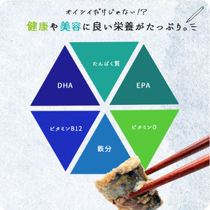 【訳あり 家庭用】無添加 塩さば フィレ 1kg_G7014