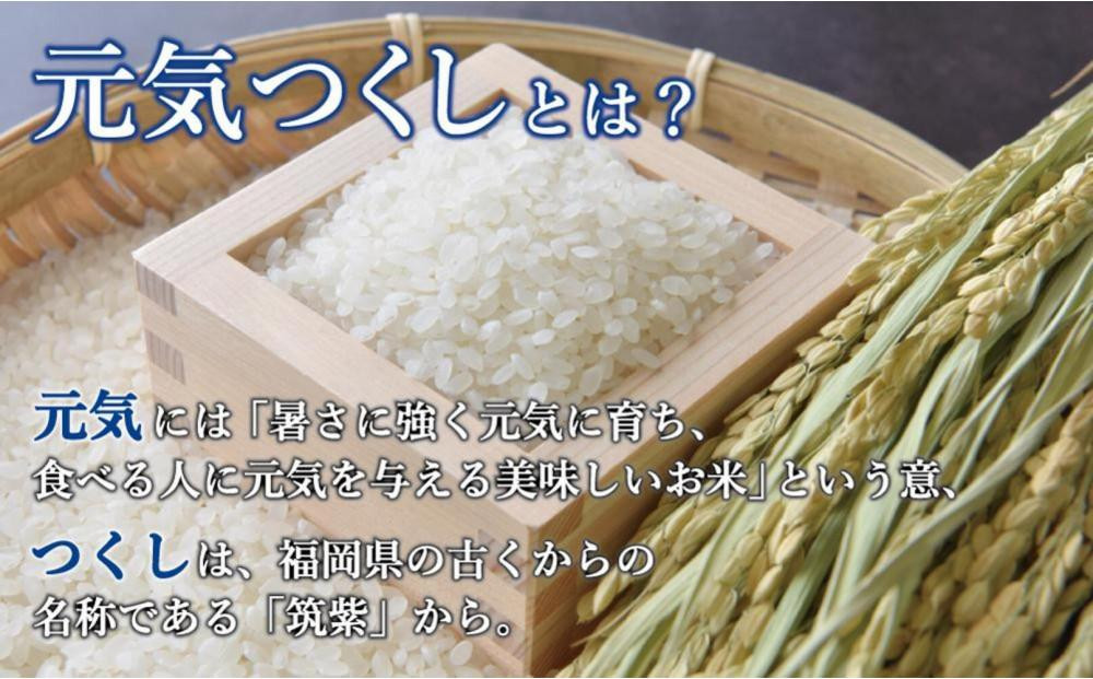 ＜全3回定期便＞令和8年米 福岡県産 米 【無洗米】金のめし丸元気つくし 5kg