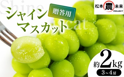 
                  【先行受付】〔松本農未来project〕 贈答用  シャインマスカット 約2kg (3房～4房)│信州松本 果物 ぶどう シャインマスカット マスカット フルーツ ブドウ 長野県 松本市 贈答用 大粒 高級 高品質 甘い
                