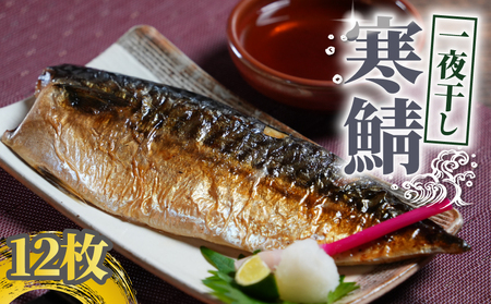 寒鯖 一夜干し 12枚 鯖鯖鯖鯖鯖ｻﾊﾞｻﾊﾞｻﾊﾞｻﾊﾞｻﾊﾞ