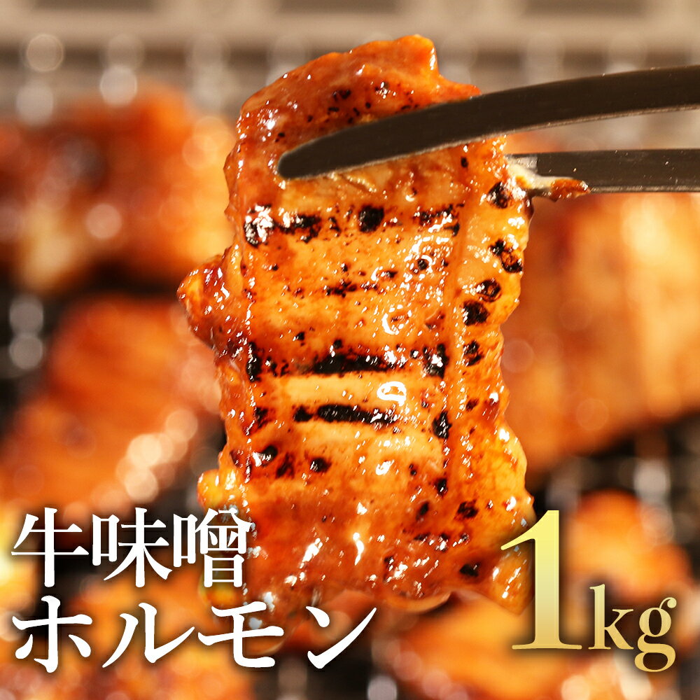 【ふるさと納税】 牛みそホルモン1kg 500g×2パック 肉 ホルモン 牛肉 肉厚 大腸 牛味噌 ミソ 焼肉 焼き肉 訳あり 小分け 冷凍 お取り寄せグルメ 熊本県 水上村