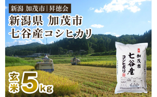 【令和7年産】新潟県加茂市 七谷産コシヒカリ 玄米5kg 高柳地域産数量限定 昇徳会