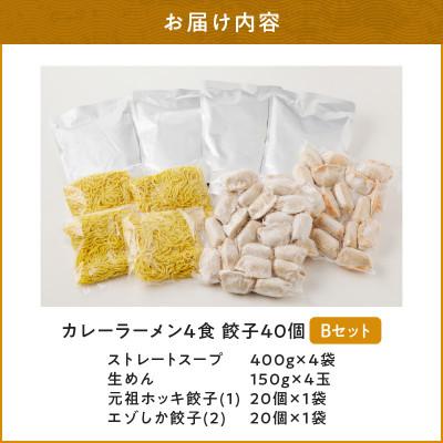 ふるさと納税 苫小牧市 カレーラーメンと餃子 Bセット |  | 02