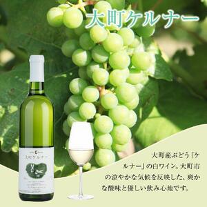 酒 ワイン 白ワイン セット ２本 × 720ml 長野県産