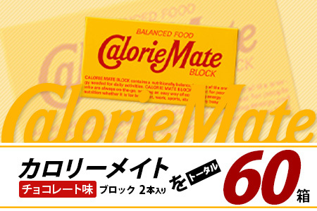 【3回定期便】≪チョコレート味≫ カロリーメイトブロック 2本入り 計20箱 ×3回 合計60箱【定期便 徳島 那賀 大塚製薬 カロリーメイト チョコ ビタミン ミネラル たんぱく質 脂質 糖質 5大