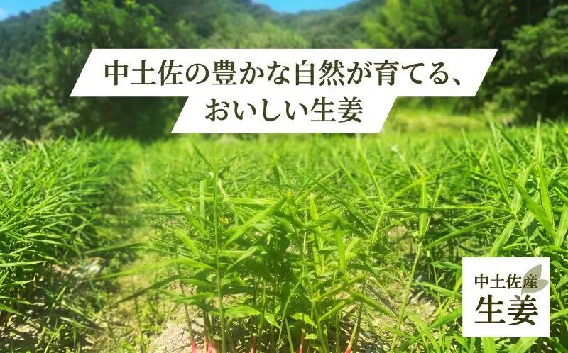 ジンジャーシロップ 180ml 2本 発酵 生姜 しょうが