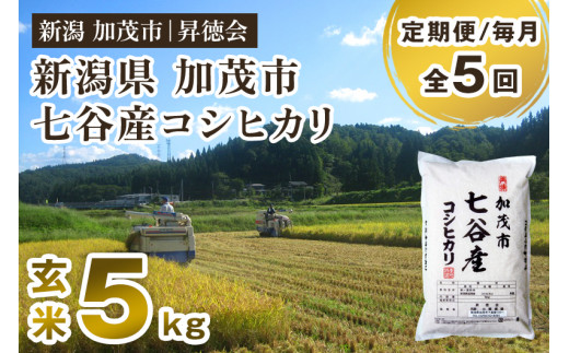 【令和8年産新米先行予約】【定期便5ヶ月毎月お届け】新潟県加茂市 七谷産コシヒカリ 玄米5kg 《10月中旬～順次出荷》 高柳地域産数量限定 昇徳会