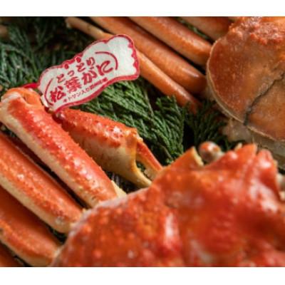 ふるさと納税 伯耆町 【11月中旬以降順次発送】ブランドタグ付ボイル松葉ガニ(400〜500gを2枚)　OM-23 |  | 01