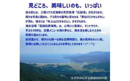 【返礼品なし】 岩手県陸前高田市への応援寄附金 1口 50,000円