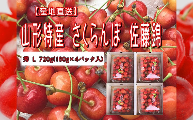 
                  山形特産 さくらんぼ 佐藤錦 L 720g(180g×4パック入)【令和9年産先行予約】FS26-623
                