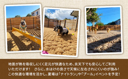 MARUMARUDOGS ドックラン 5時間利用券 1時間×5枚セット 人1人＋犬1頭 チケット 犬 ペット 体験 施設 施設利用券 ラン コイヤーグラウンド 天然素材 静岡県 河津町